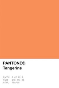 Pantone Tangerine